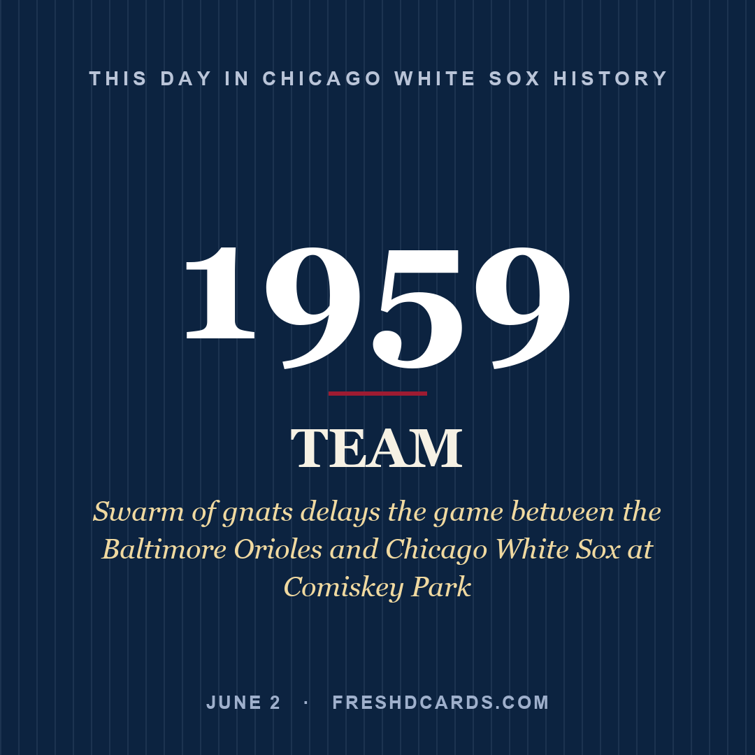 Chicago White Sox: Chicago White Sox, 1959, Swarm of gnats delays the game between the Baltimore Orioles and Chicago White Sox at Comiskey Park