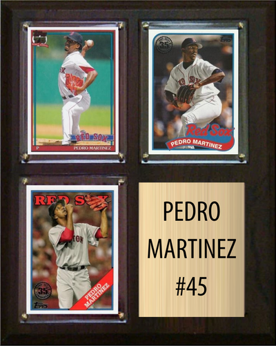 Pedro Martinez 8x10 plaque