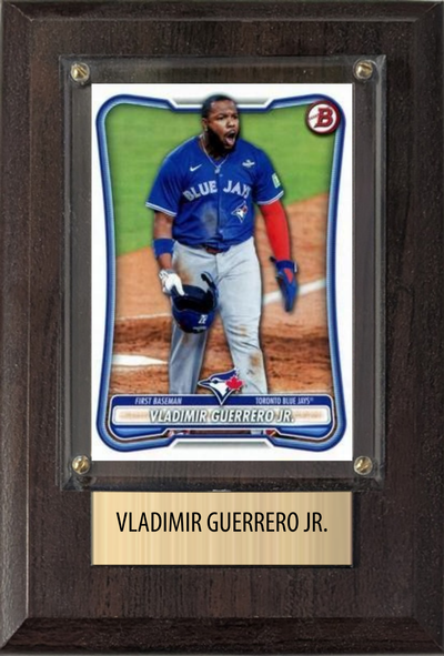 Vladimir Guerrero Jr. 4x6 plaque