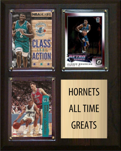 Charlotte Hornets All-Time Greats Fan Cave Plaque 8x10 3 Cards Larry Johnson Alonzo Mourning Muggsy Bogues