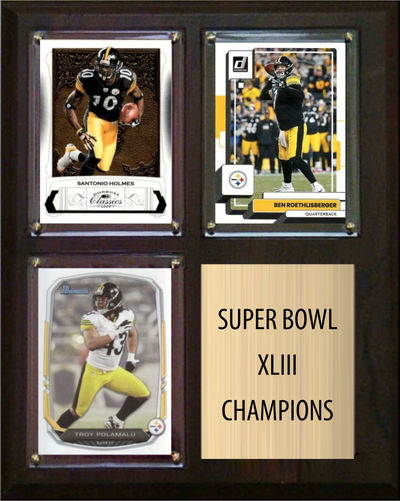 Pittsburgh Steelers Super Bowl XLIII Champions Fan Gift Plaque 8x10 3 Cards