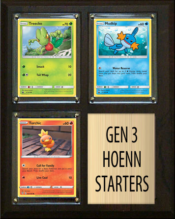 3rd generation pokemon cards Pokemon Generation 3 Hoenn Starters Plaque 3 Cards Mudkip Torchic Treecko