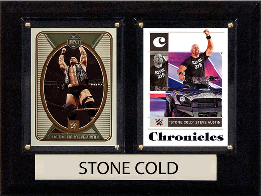 WWE Stone Cold Steve Austin Panini Chronicles 2 Card Plaque 6x8