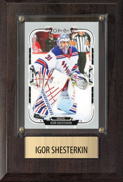 Igor Shesterkin New York Rangers hockey plaque with 1 trading card and engraved nameplate, 4x6 fan cave display