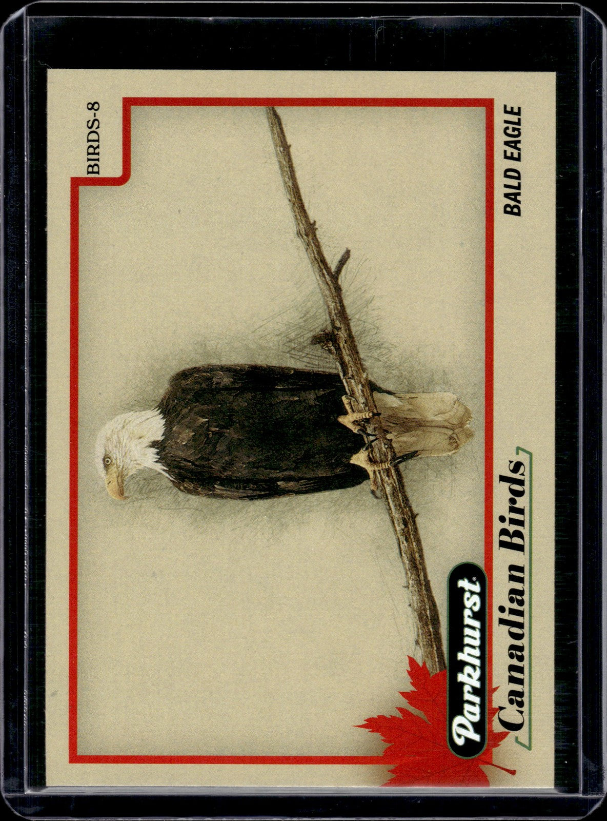 2025-26 Upper Deck Parkhurst Canadian Birds Bald Eagle #BIRDS-8