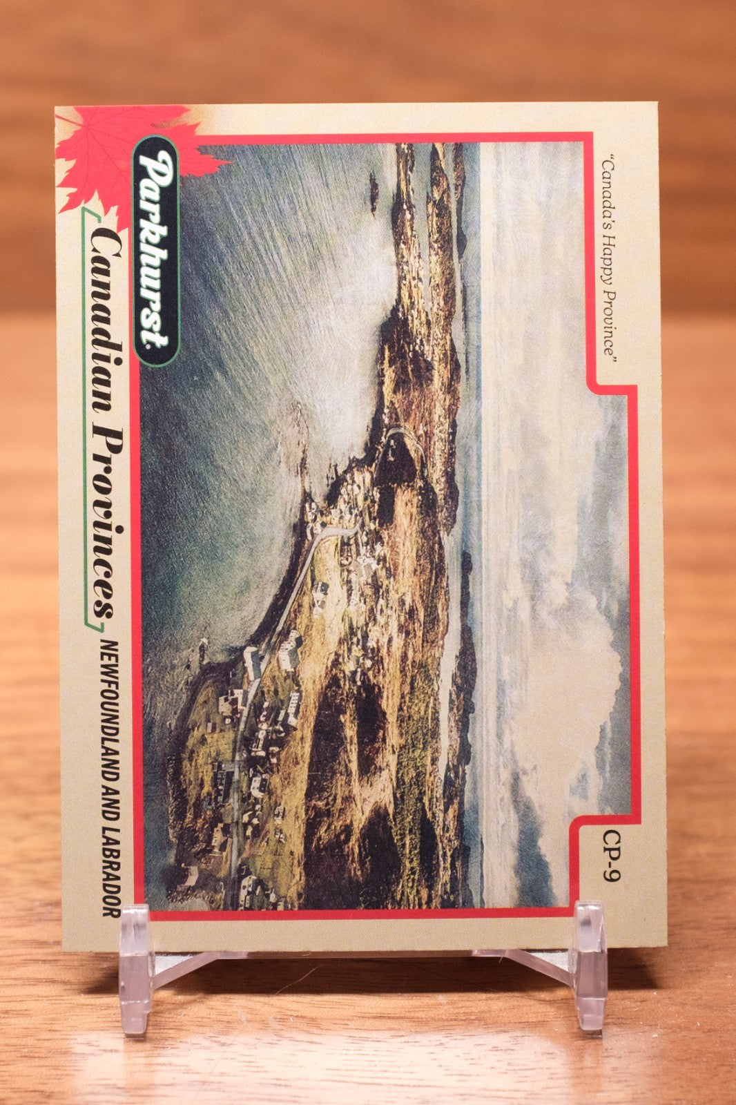 2025-26 Upper Deck Parkhurst Canadian Provinces Newfoundland & Labrador #CP-9