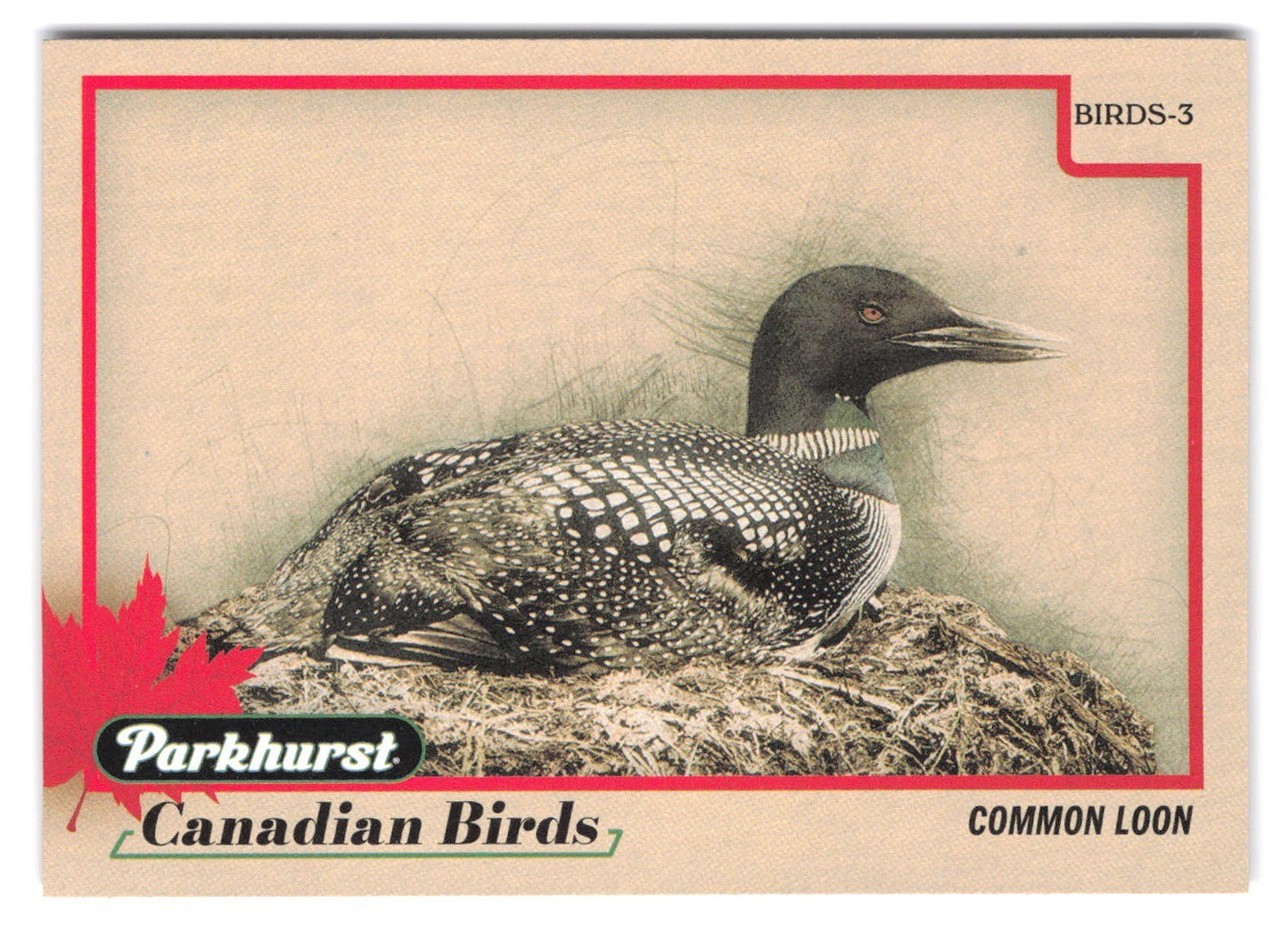 2025-26 Upper Deck Parkhurst Canadian Birds Common Loon #BIRDS-3