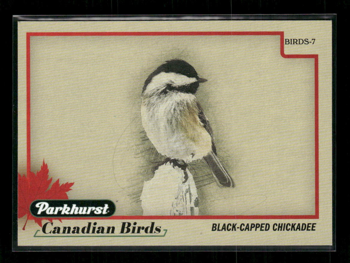 2025-26 Upper Deck Parkhurst Canadian Birds Black-capped Chickadee #BIRDS-7