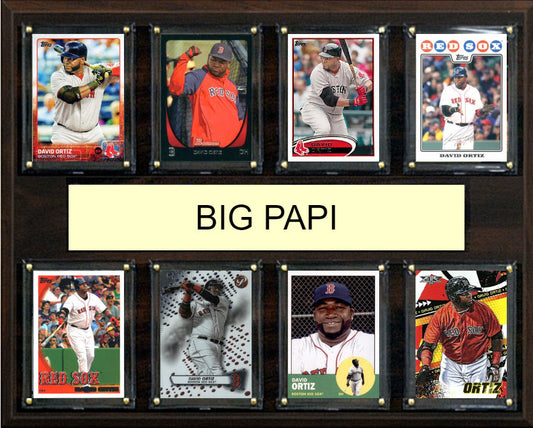 David Ortiz Big Papi Boston Red Sox 12x15 Plaque