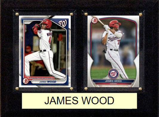 James Wood plaque
