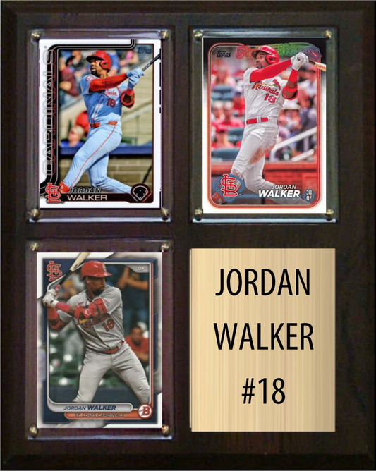 Jordan Walker St. Louis Cardinals fan cave plaque