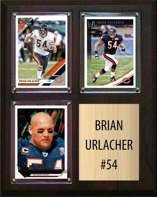Chicago Bears Hall of Famers: Legends to Honor on Your Wall