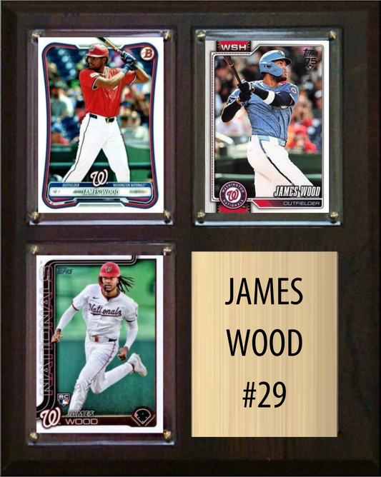 James Wood Washington Nationals fan cave plaque