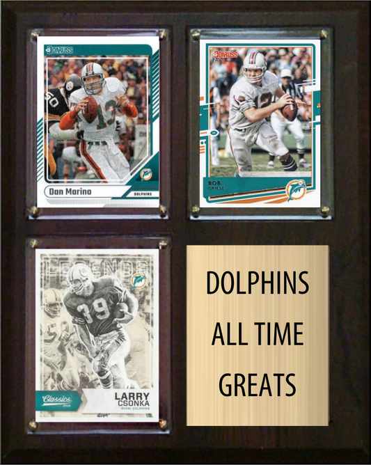 Gift for Dolphins Fan: 4 Picks That Actually Land
