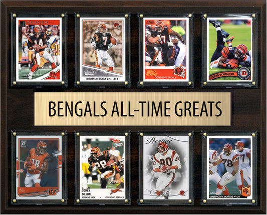 Best Cincinnati Bengals Fan Gifts for the 2026 Season
