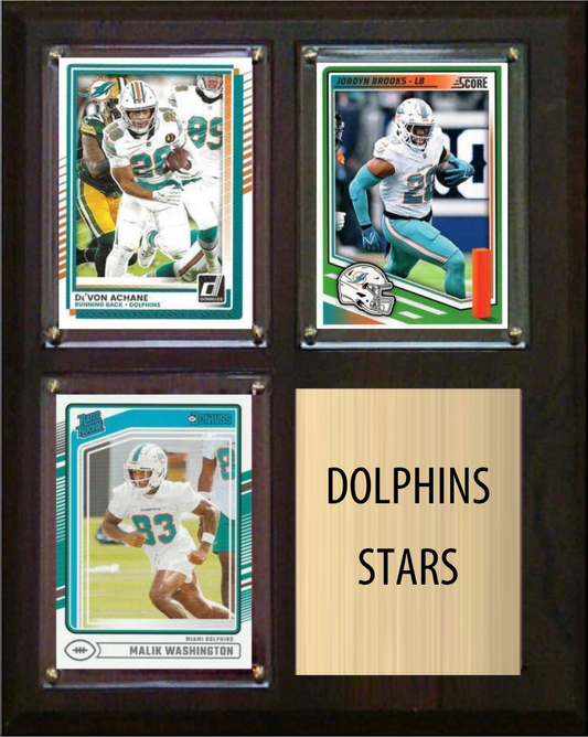 Miami Dolphins Stars 2026 plaque
