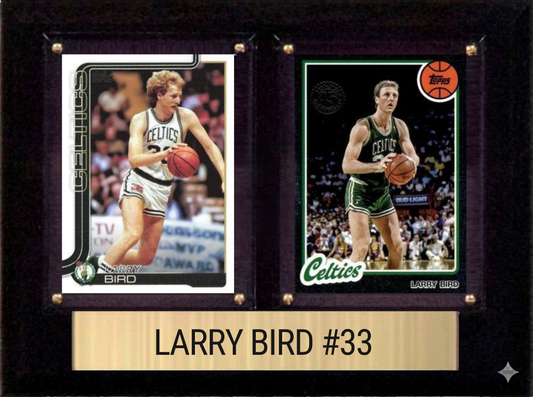 Larry Bird Boston Celtics 6x8 plaque