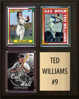 Ted Williams Boston Red Sox HOF Fan Gift Plaque 8x10 3 Cards Topps Donruss Panini 2024 2025 2026