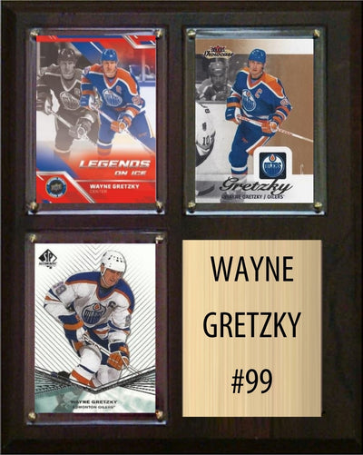 Wayne Gretzky Edmonton Oilers HOF Fan Gift Plaque 8x10 3 Cards Upper Deck Parkhurst O-Pee-Chee Topps 2024 2025 2026