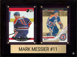 Hall of Fame Plaques