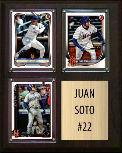 Juan Soto 8x10 plaque