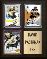 8×10 Plaques