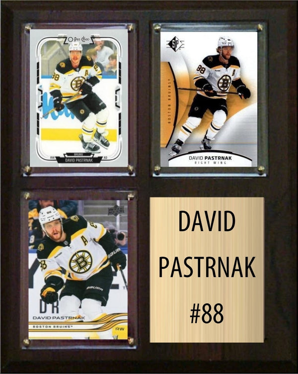 David Pastrnak Boston Bruins Fan Gift Plaque 8x10 3 Cards Upper Deck, Parkhurst, O-Pee-Chee, Topps 2024 2025 2026