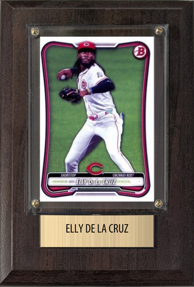 Elly De La Cruz 4x6 plaque