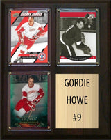 8×10 Plaques