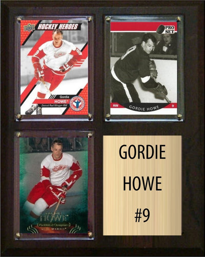 Gordie Howe Detroit Red Wings HOF Fan Gift Plaque 8x10 3 Cards Upper Deck Parkhurst O-Pee-Chee Topps 2024 2025 2026