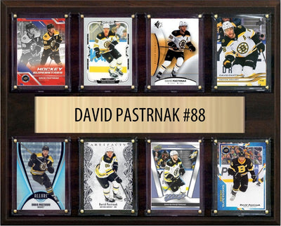 David Pastrnak Boston Bruins Fan Gift Plaque 12x15 8 Cards Upper Deck, Parkhurst, O-Pee-Chee, Topps 2024 2025 2026