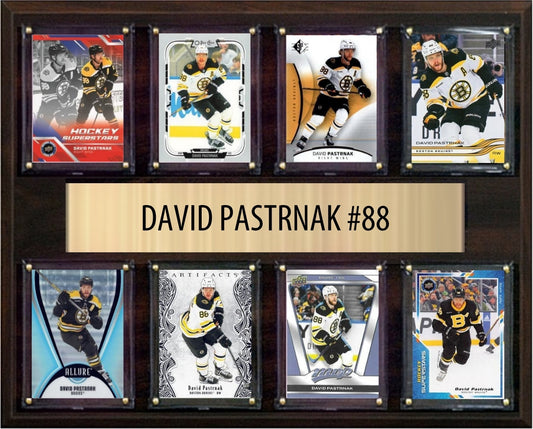 David Pastrnak Boston Bruins Fan Gift Plaque 12x15 8 Cards Upper Deck, Parkhurst, O-Pee-Chee, Topps 2024 2025 2026