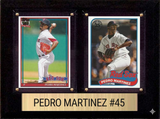 Panini Cards & Sets