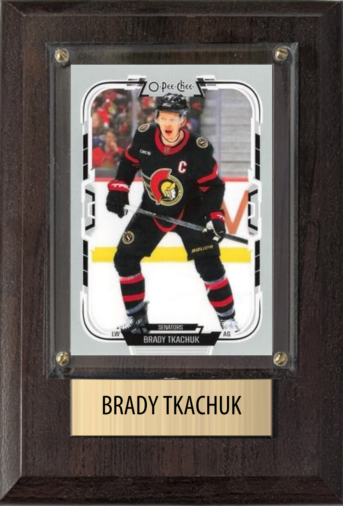 Brady Tkachuk 4x6 plaque