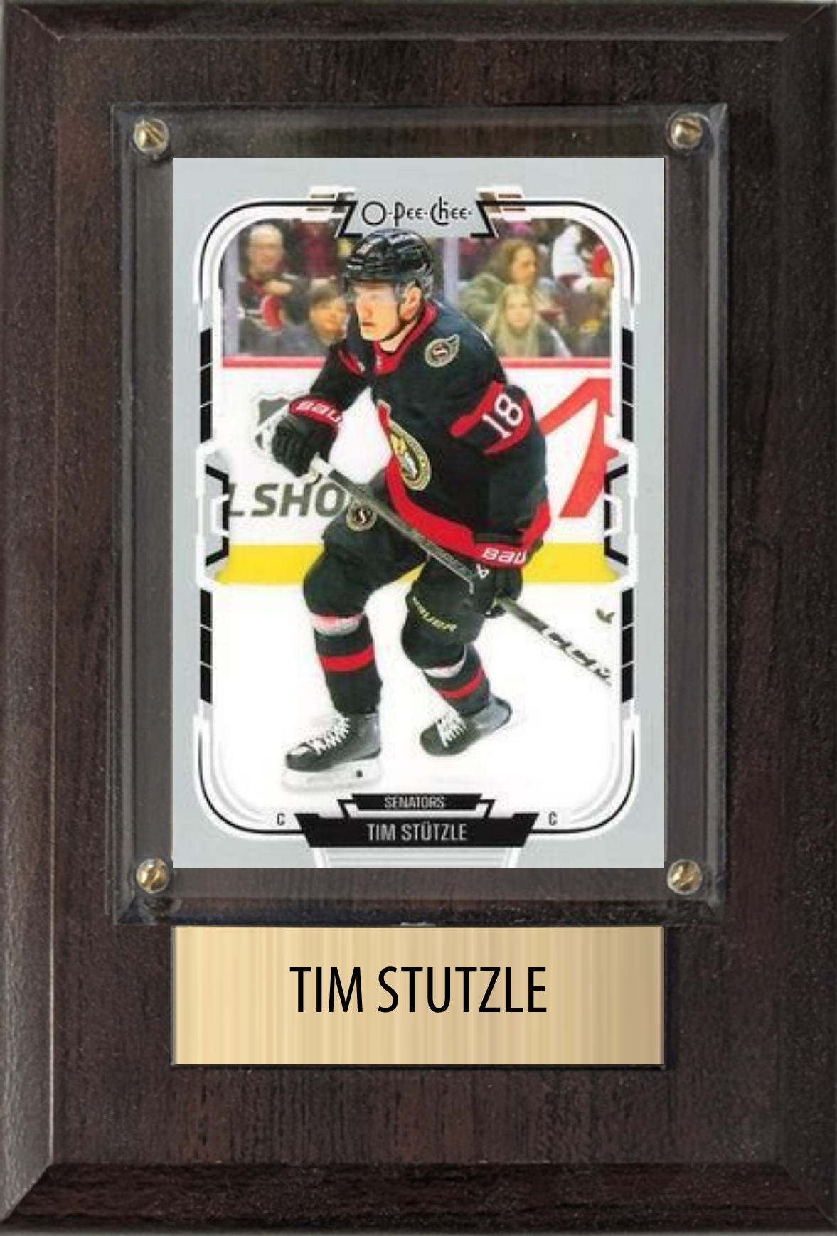 Tim Stutzle 4x6 plaque