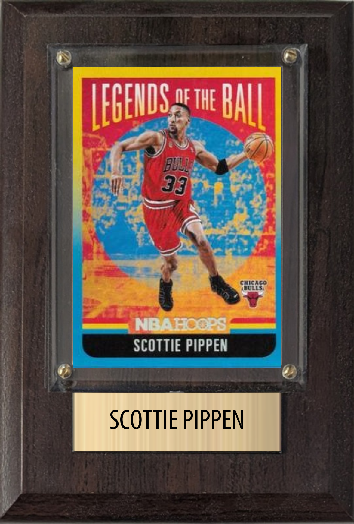 Scottie Pippen Chicago Bulls 4x6 plaque