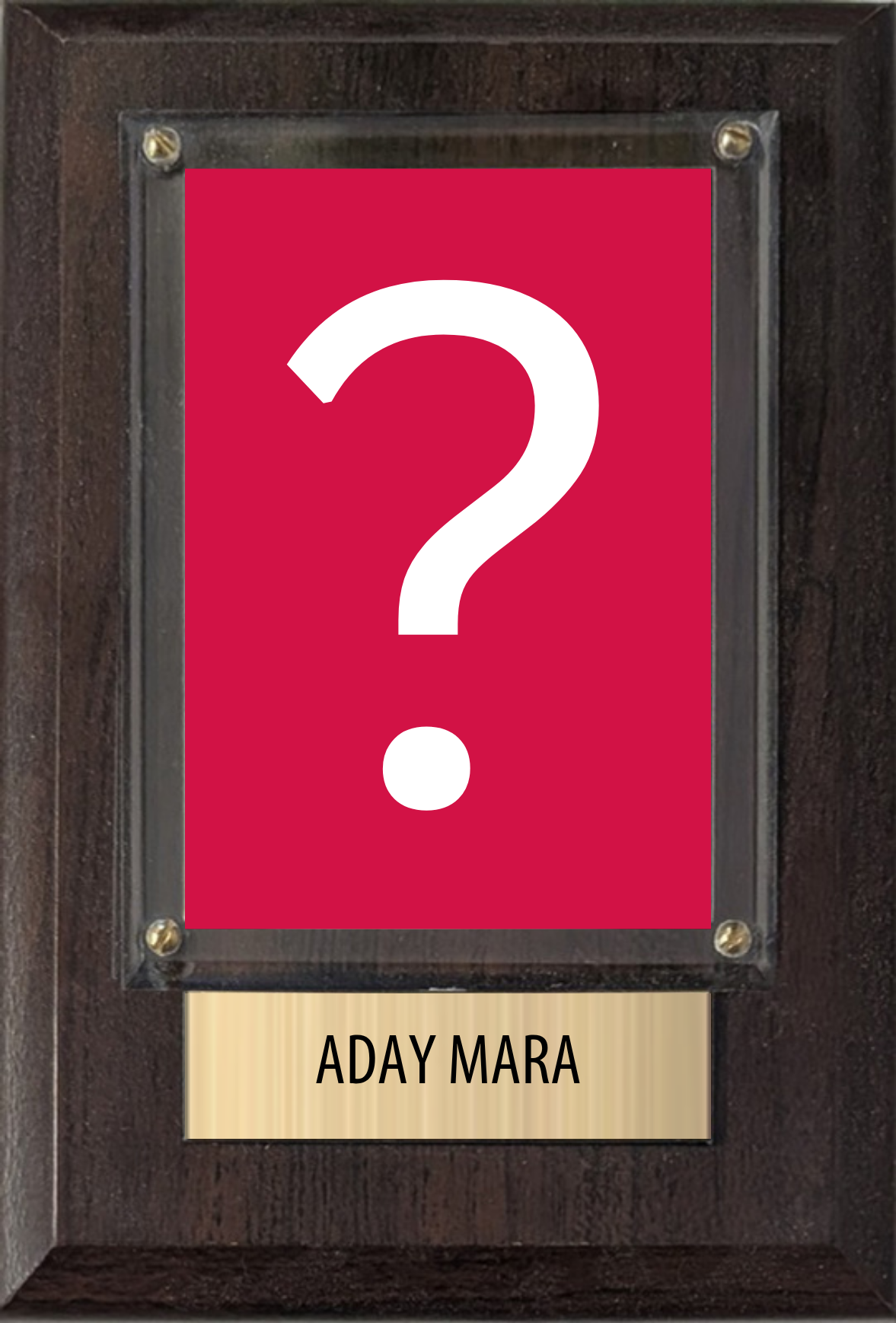 Aday Mara Michigan 2026 NBA Draft 4x6 Card Plaque Fan Gift