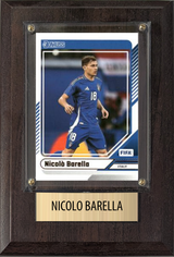 Small Player Plaques