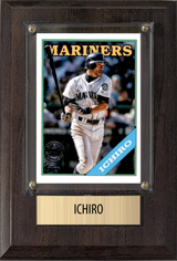 Card Plaques