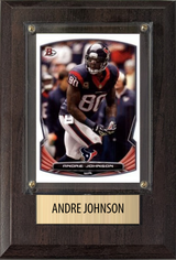 Andre Johnson Houston Texans Hall of Fame Fan Gift Plaque 4x6 1 Card Prizm, Donruss, Score 2024 2025 2026