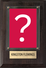 Kingston Flemings Houston 2026 NBA Draft 4x6 Card Plaque Fan Gift