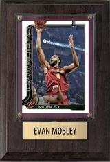 All Plaques