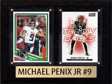 Small Player Plaques