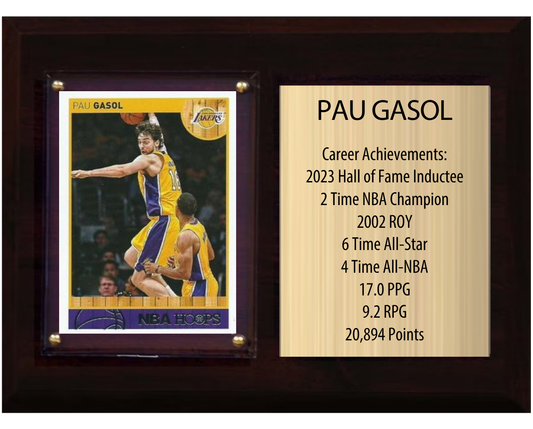Pau Gasol Los Angeles Lakers Hall of Fame Stats Plaque 6x8 1 Card Hoops, Prizm, Donruss 2024 2025 2026