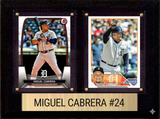Panini Cards & Sets