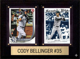 6×8 Plaques
