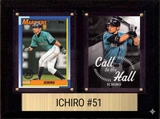 6×8 Plaques