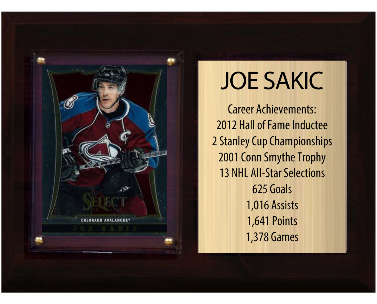 Joe Sakic Colorado Avalanche HOF Fan Gift Plaque 6x8 Stats 1 Card Upper Deck Parkhurst O-Pee-Chee Topps 2024 2025 2026