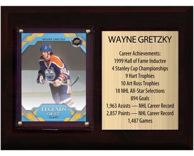 Wayne Gretzky Edmonton Oilers HOF Fan Gift Plaque 6x8 Stats 1 Card Upper Deck Parkhurst O-Pee-Chee Topps 2024 2025 2026
