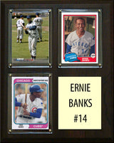 8×10 Plaques